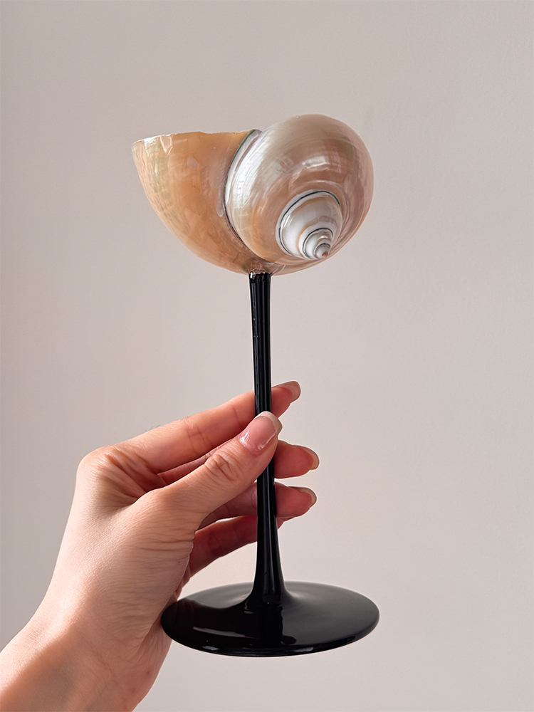 Natuurlijke schelp champagnegl - Home Bar Set recensie en prijs